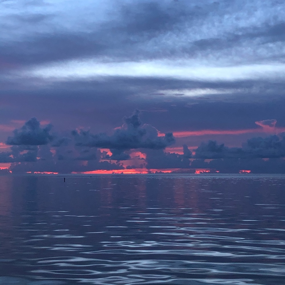 Meet your Posher, Jaiden